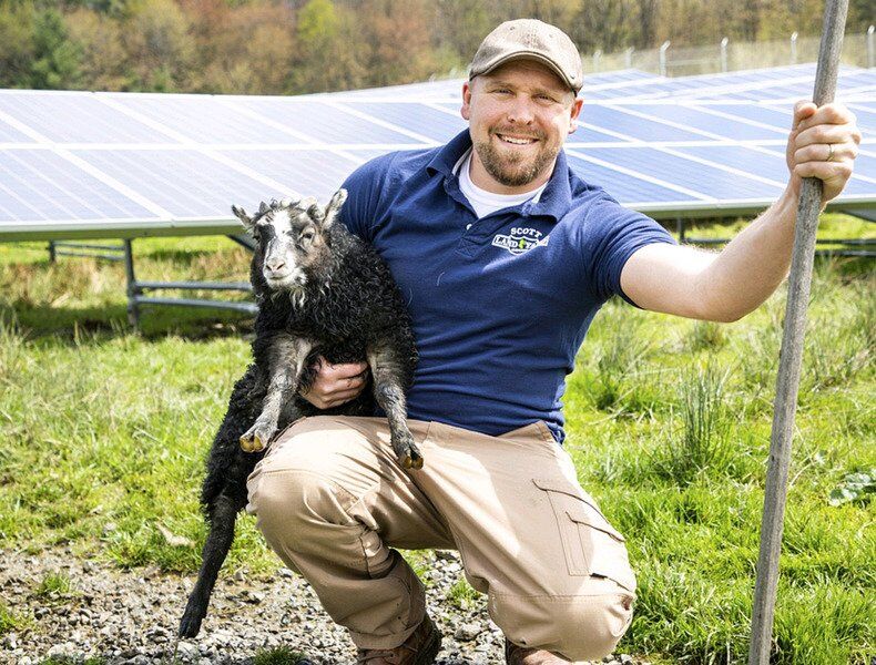 Solar ... and sheep
